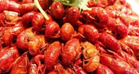 盱眙许式龙虾系列 技术配方、实体教程-网亿资源平台