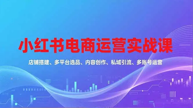 小红书电商运营实战课，店铺搭建、多平台选品、内容创作、私域引流、多账号运营等玩法-网亿资源平台