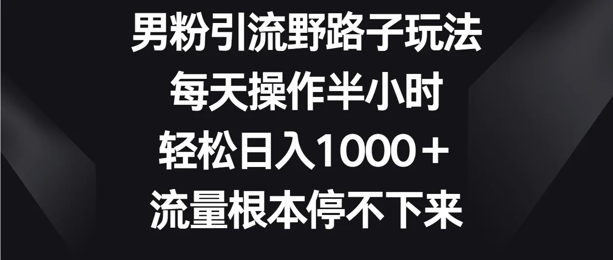 男粉引流野路子玩法,每天操作半小时轻松日入1000+,流量根本停不下来-网亿资源平台