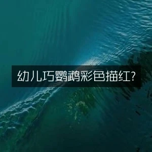 幼儿巧鹦鹉彩色描红-网亿资源平台