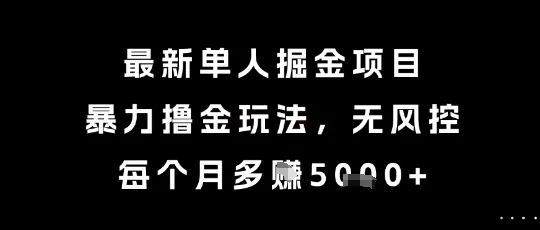 最新单人掘金项目，暴力撸金玩法，无风控，每个月多挣5k+【揭秘】-网亿资源平台