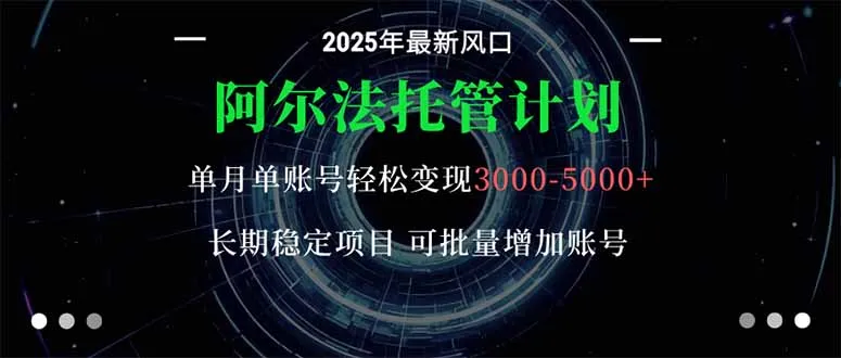 阿尔法托管计划 单账号月入3000-5000，长期稳定项目，新手小白轻松上手。-网亿资源平台