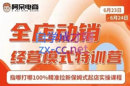 阿呆电商·全店动销经营模式特训营(线下录音+思维导图)-网亿资源平台