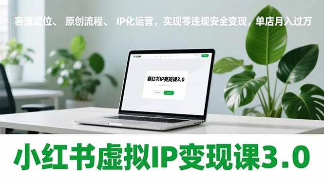 小红书虚拟IP变现课3.0，赛道定位、原创流程、IP化运营，实现零违规安全变现，单店月入过万-网亿资源平台