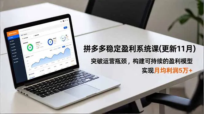 拼多多稳定盈利系统课(更新11月-网亿资源平台