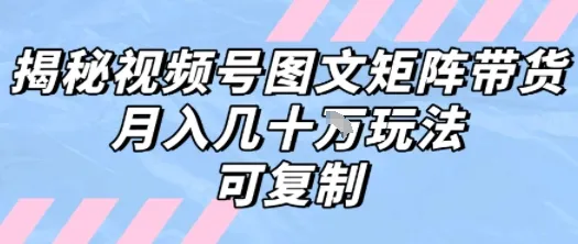 解密视频号图文矩阵带货，月入几个W的打法，可复制-网亿资源平台