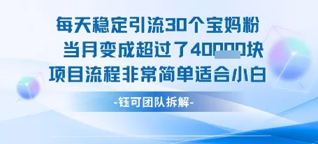 每天稳定引流30个人 当月变成超过了4个W项目流程非常简单适合小白-网亿资源平台