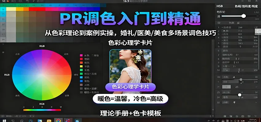PR调色入门到精通：从色彩理论到案例实操，婚礼/医美/美食多场景调色技巧-网亿资源平台
