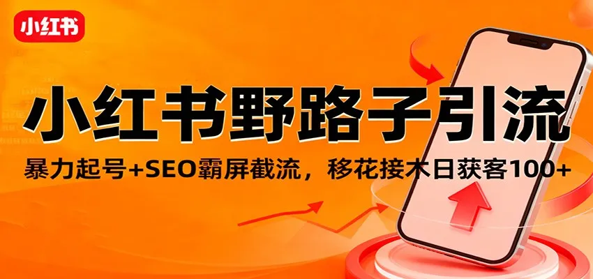 小红书野路子引流，暴力起号+SEO霸屏截流，移花接木日获客100+-网亿资源平台