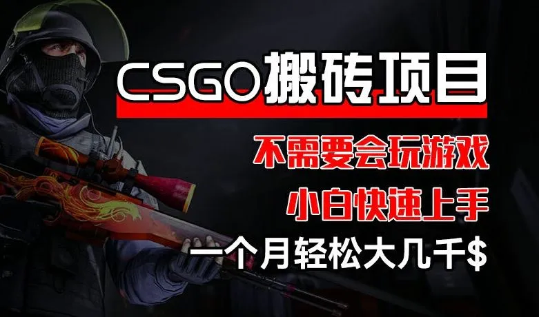CSGO 装备搬砖项目，操作简单，不需要会玩游戏，小白也能快速上手，一个月轻松大几千【揭秘】-网亿资源平台