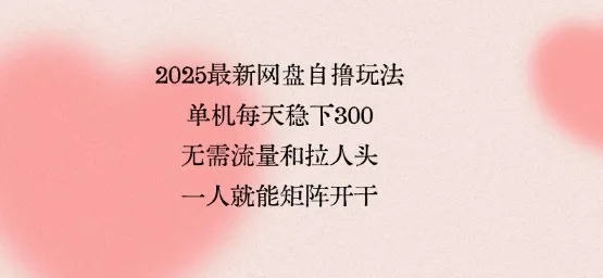 2025最新网盘自撸玩法，单机每天稳下3张，无需流量和拉人头，一个人就可轻松矩阵，全网独一份【揭秘】-网亿资源平台
