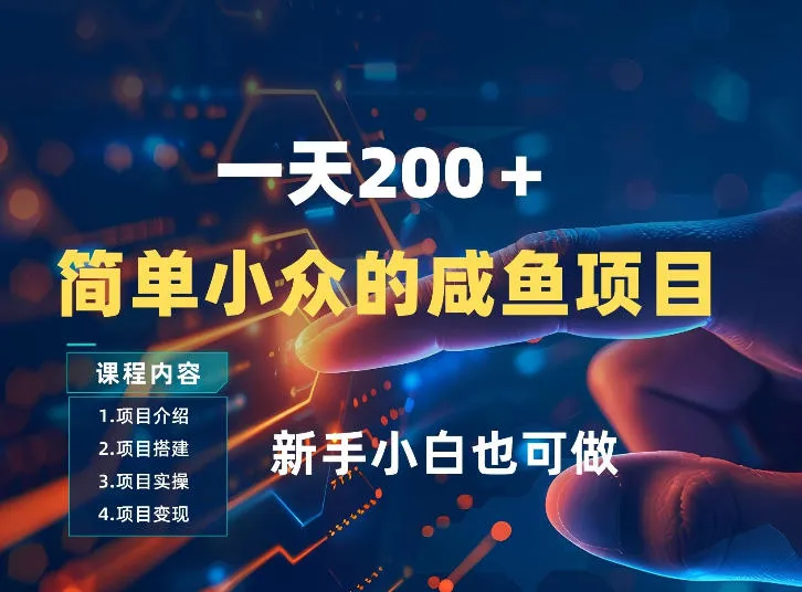 一天收入2张，一个简单小众的咸鱼项目，0门槛小白也能做-网亿资源平台