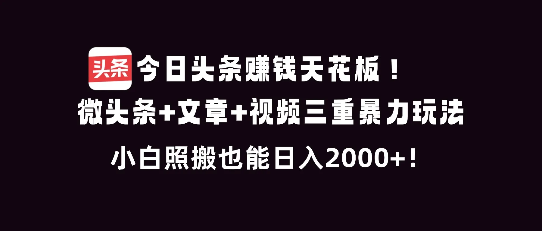 今日头条赚钱天花板！微头条+文章+视频三重暴利玩法，小白照搬也能日人2000+-网亿资源平台