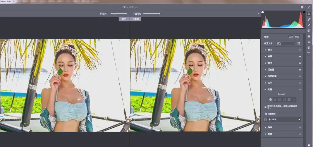 RAW处理Adobe Camera Raw v18.2.0中文版-网亿资源平台