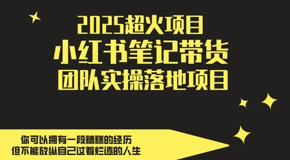 2025超火项目，副业最佳选择，小红书笔记带货团队实操落地项目，，轻松日入5张-网亿资源平台