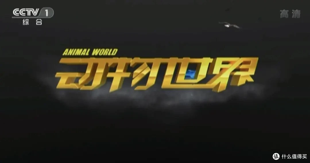动物世界 赵忠祥 108全集-网亿资源平台