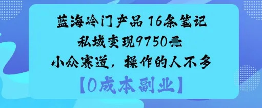 蓝海冷门产品：16条笔记私域变现9750米小众赛道，操作的人不多-网亿资源平台