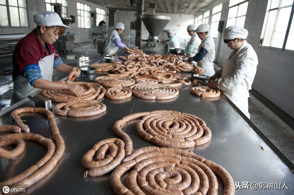 民哥香肠 技术配方、实体教程-网亿资源平台