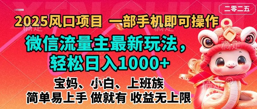 2025蓝海风口项目,微信流量主最新玩法,轻松日入1000+,简单易上手,做就有 收益无上限-网亿资源平台