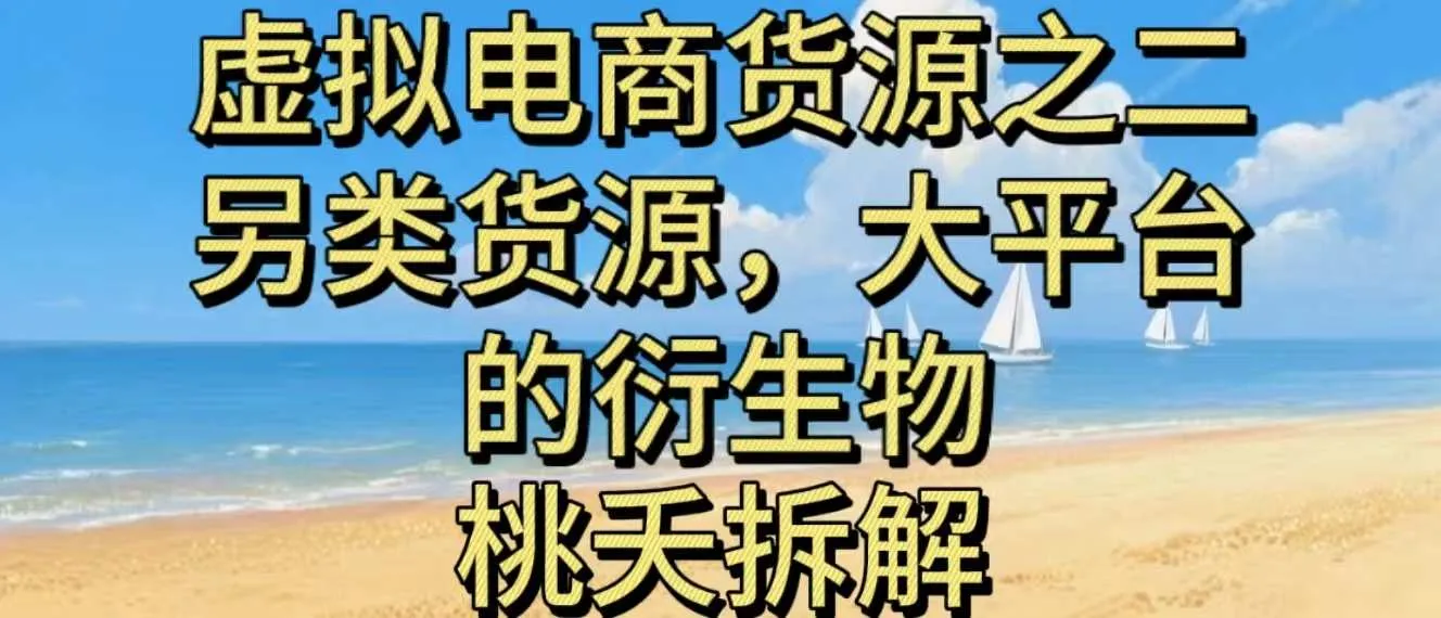虚拟电商之二—另类的货源，大平台的衍生物-网亿资源平台