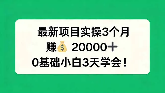 最新项目实操3个月，赚钱20000+，0基础小白3天学会！-网亿资源平台