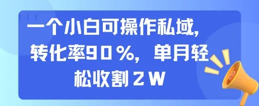 一个小白可操作私域，转化率90%，单月轻松收割2W-网亿资源平台