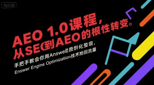 AEO 1.0 课程，从SEO到AE0的基命性转变，手把手教会你用AnswerEngineOptimization技术抢回流量(更新)-网亿资源平台