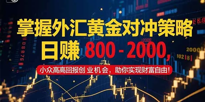 掌握外汇黄金对冲策略，日赚 800 – 2000，小众高回报创业机会，助你实…-网亿资源平台