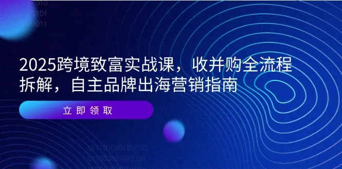 2025跨境致富实战课，收并购全流程拆解，自主品牌出海营销指南-网亿资源平台