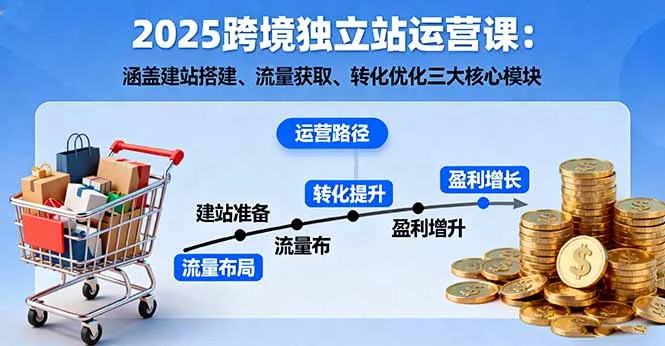 2025跨境独立站运营课：涵盖建站搭建、流量获取、转化优化三大核心模块-网亿资源平台