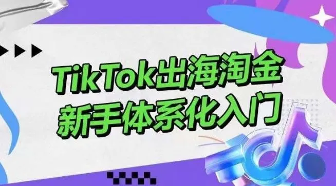 TikTok出海淘金，新手体系化入门，零基础快速入门，掌握短视频、直播带货等引流到变现的知识-网亿资源平台