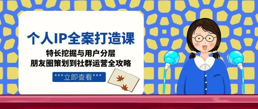 个人IP全案打造课，特长挖掘与用户分层，朋友圈策划到社群运营全攻略-网亿资源平台
