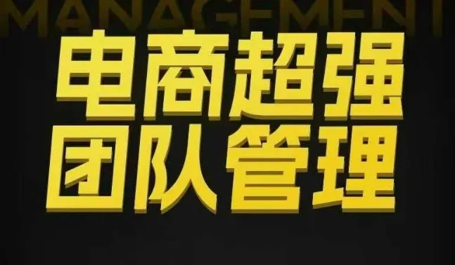 电商超强团队管理,组织绩效,到用人执行,分权合伙-网亿资源平台