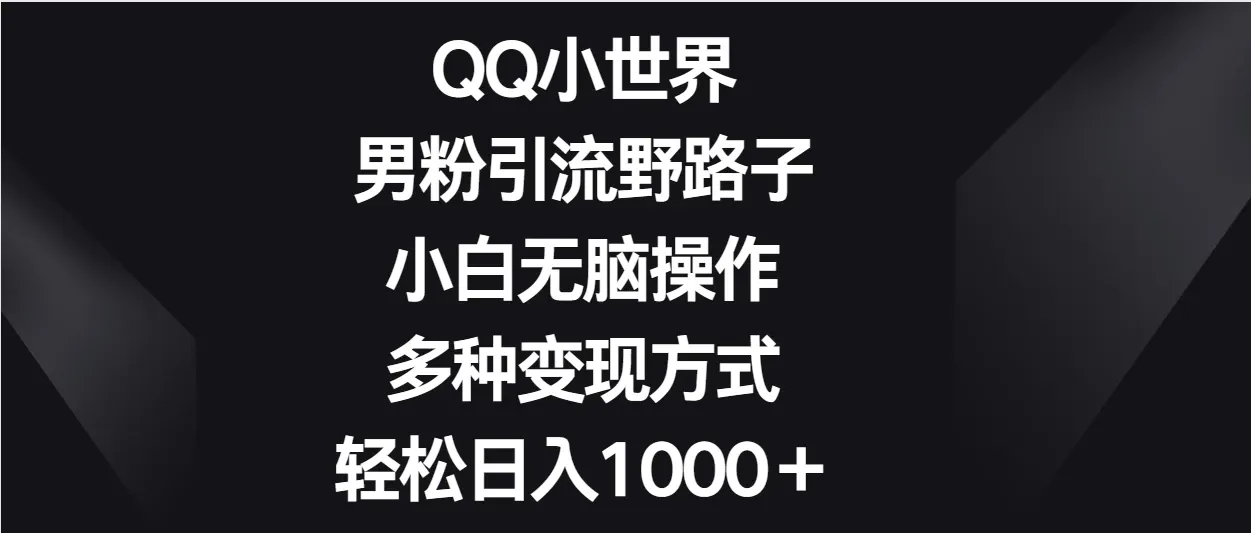QQ小世界男粉引流野路子,小白无脑操作,多种变现方式轻松日入1000+-网亿资源平台