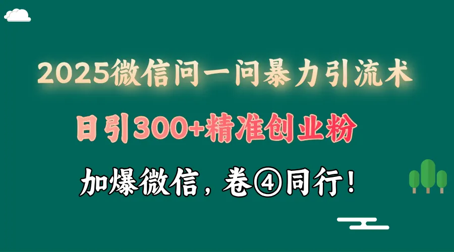 2025 微信问一问最新玩法,暴力引流 300+创业粉,条条爆款,单日变现四位数-网亿资源平台