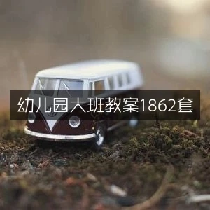 幼儿园大班教案1862套-网亿资源平台