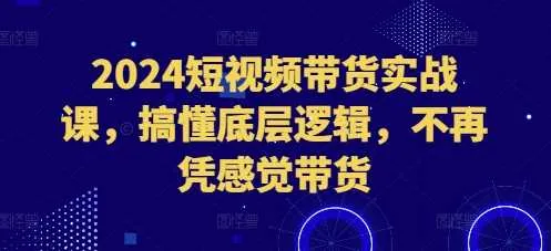 2024短视频带货实战课，搞懂底层逻辑，不再凭感觉带货-网亿资源平台