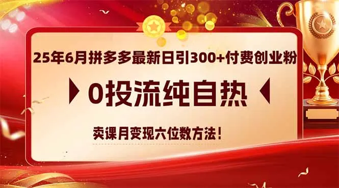 25年6月拼多多最新日引300+付费创业粉,0投流纯自热 卖课月变现六位数方法-网亿资源平台