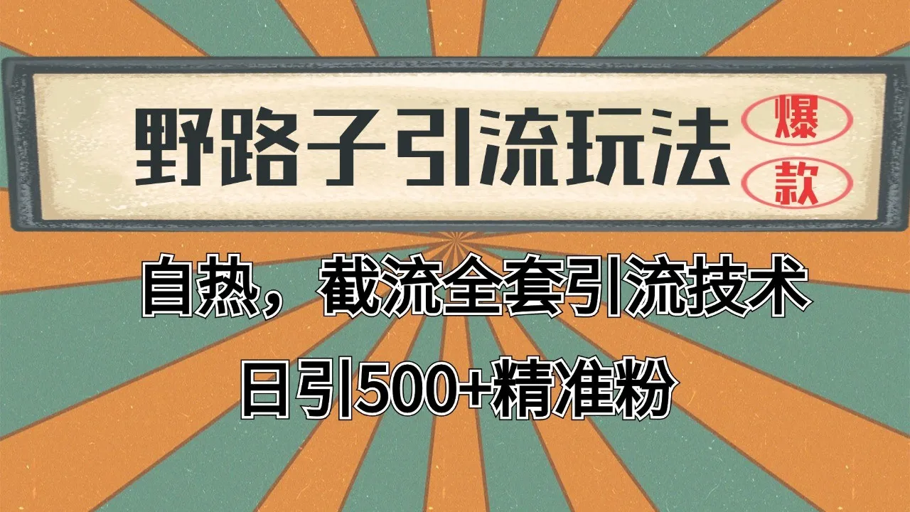 2024首发野路子引流玩法截流自热全平台打法，全自动引流【日引2000+精准客户】-网亿资源平台