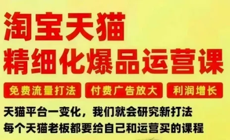 淘宝天猫精细化爆品运营课，免费流量打法-付费广告放大-利润增长-三大核心痛点，一次全部解决-网亿资源平台
