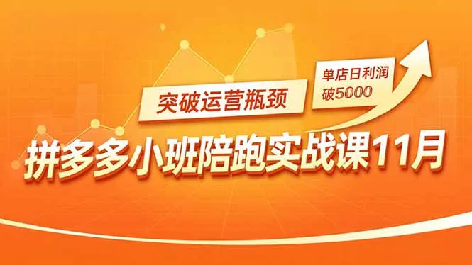 拼多多小班陪跑实战课11月，强付费矩阵、原价活动、暗券引流，突破运营瓶颈，单店日利润破5000-网亿资源平台