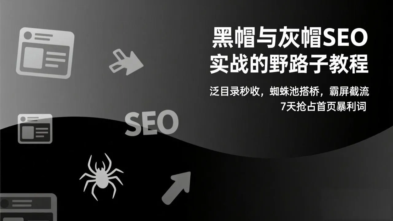 黑帽与灰帽SEO实战的野路子教程：泛目录秒收，蜘蛛池搭桥，霸屏截流，7天抢占首页暴利词-网亿资源平台