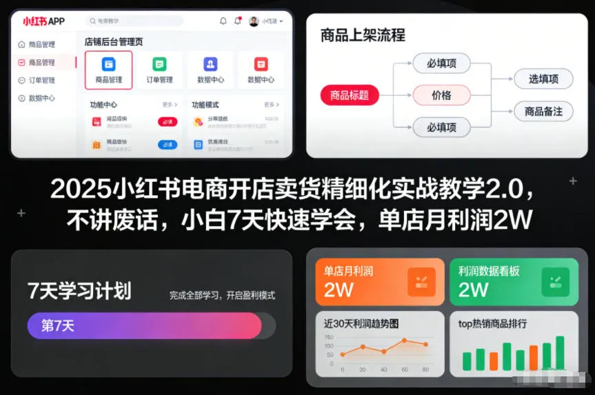 2025小红书电商开店卖货精细化实战教学2.0，不讲废话，小白7天快速学会，单店月利润2W-网亿资源平台
