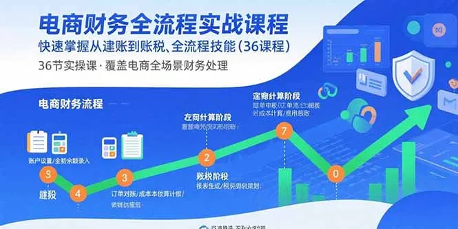 电商财务全流程实战课程：快速掌握从建账到报税的全流程技能(36节课-网亿资源平台