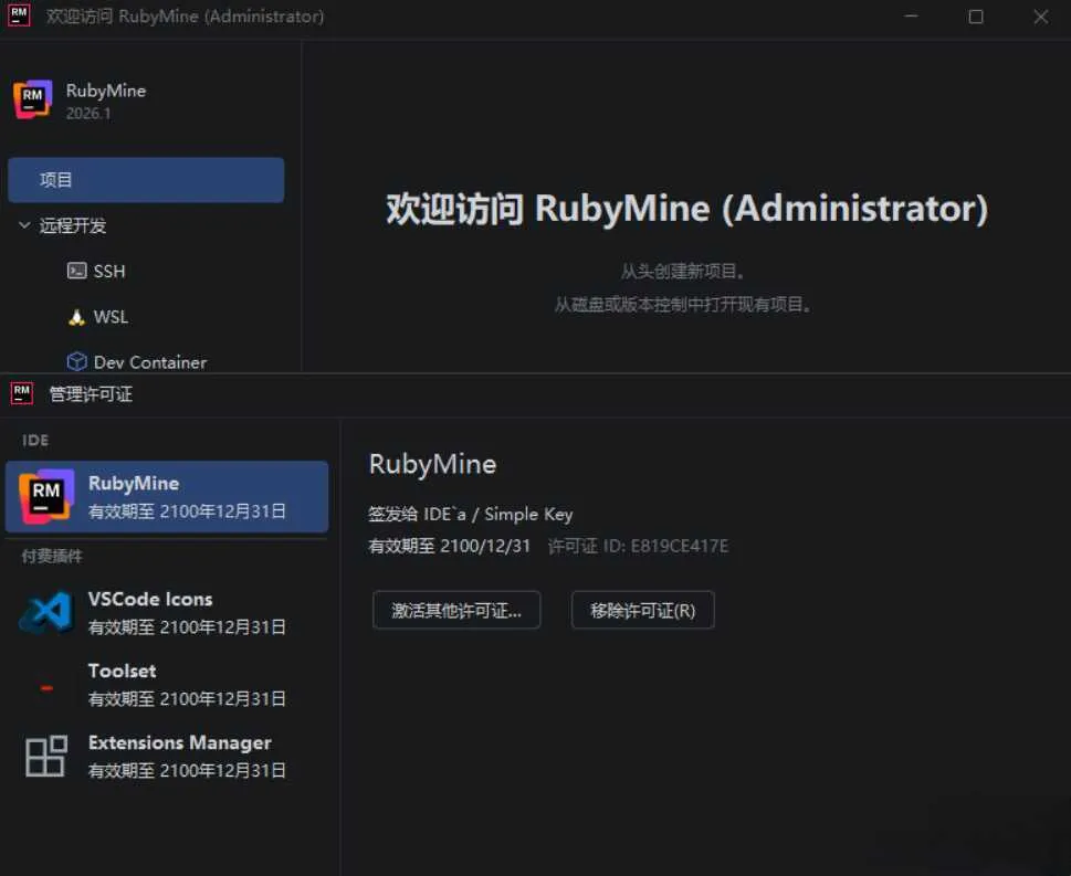RubyMine v2026.1.0.0 高级版-网亿资源平台