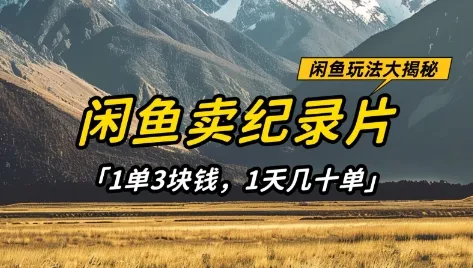 闲鱼卖纪录片1单3块钱，1天几十单，项目稳定有潜力-网亿资源平台