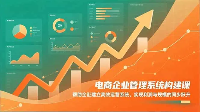 电商企业管理系统构建课：帮助企业建立高效运营系统，实现利润与规模的同步跃升-网亿资源平台