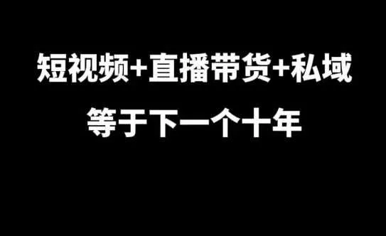 短视频+直播带货+私域等于下一个十年，大佬7年实战经验总结-网亿资源平台
