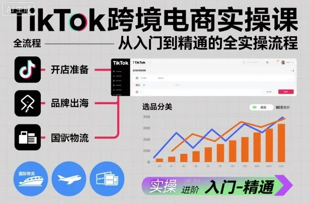 TikTok跨境电商实操课，从入门到精通的全实操流程-网亿资源平台