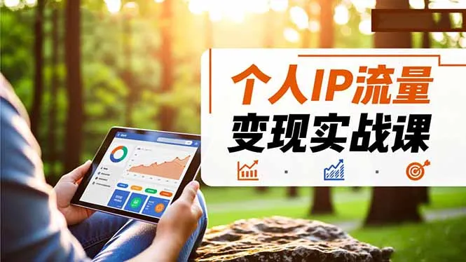 个人IP流量变现实战课，涵盖多平台引流、打造个人IP并实现稳定流量变现-网亿资源平台